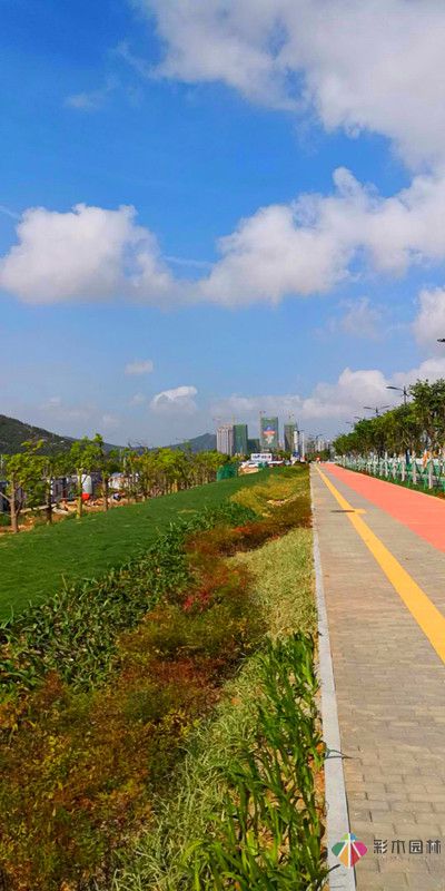 广东珠海海绵城市道路绿化工程